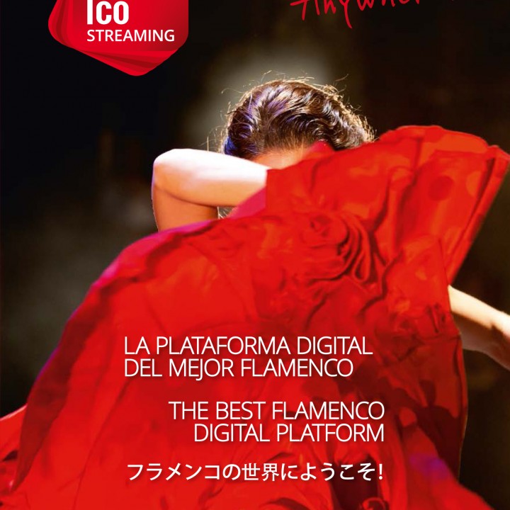 Diptipo_Flamenco_Streaming_26_feb_2