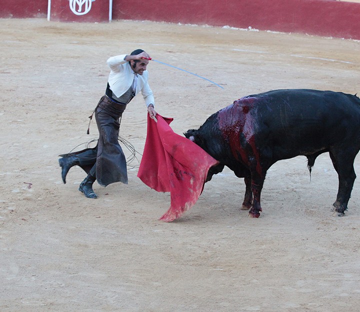 13.08.14 tauromaquia 7