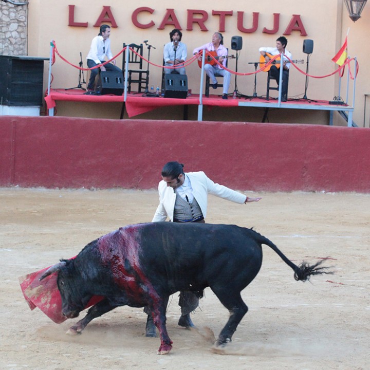 13.08.14 tauromaquia 9