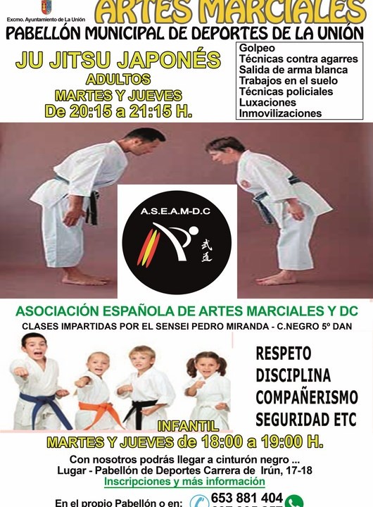 Cartel ARTES MARCIALES. JU JIT SU