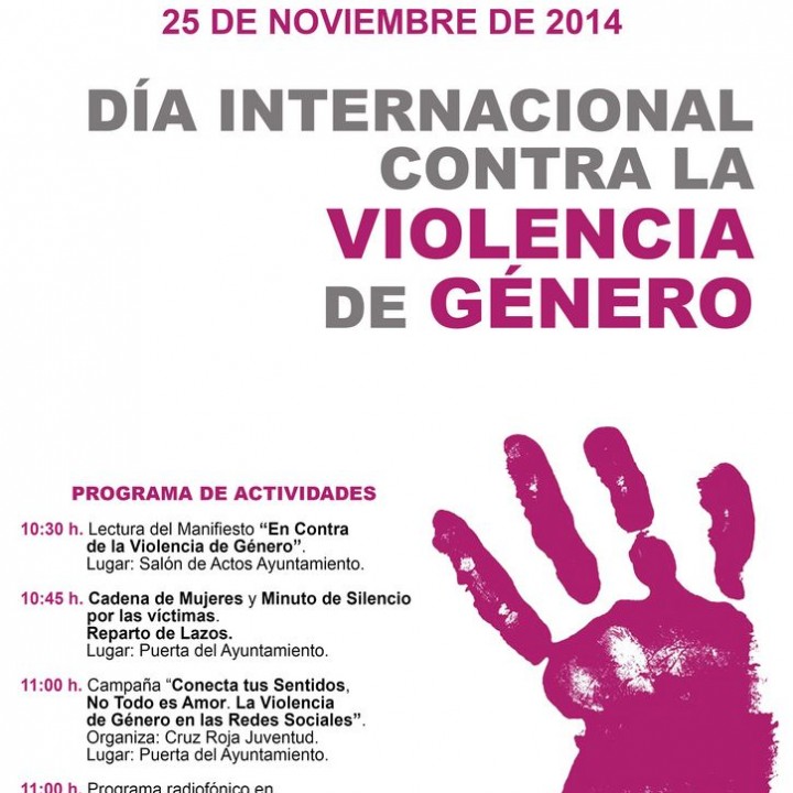 Cartel Violencia de género 2014.