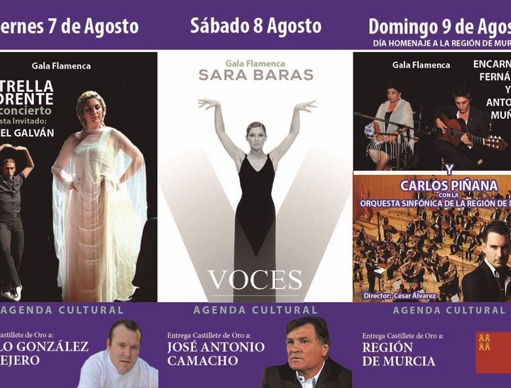 2.Avance programacion.